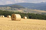 Preisgünstiger Familienurlaub auf dem Bauernhof